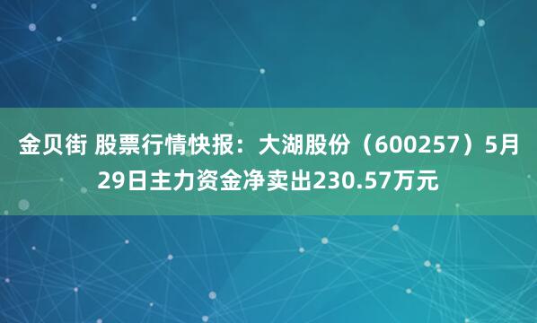 金贝街 股票行情快报：大湖股份（600257）5月29日主力资金净卖出230.57万元