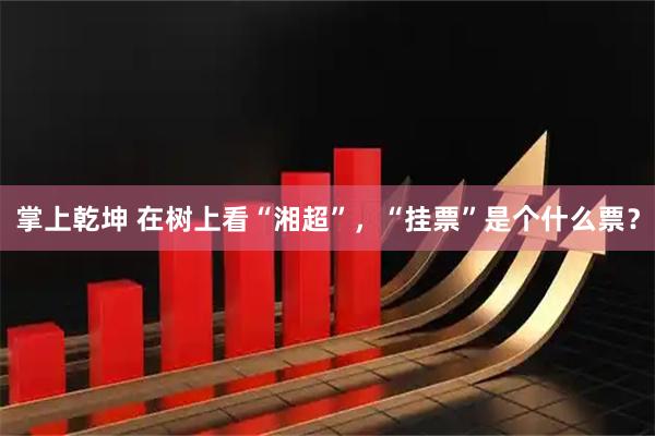 掌上乾坤 在树上看“湘超”，“挂票”是个什么票？