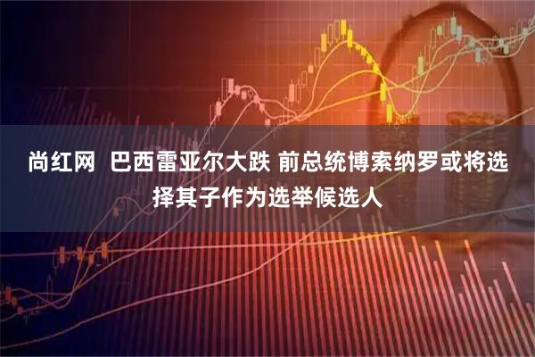 尚红网 巴西雷亚尔大跌 前总统博索纳罗或将选择其子作为选举候选人