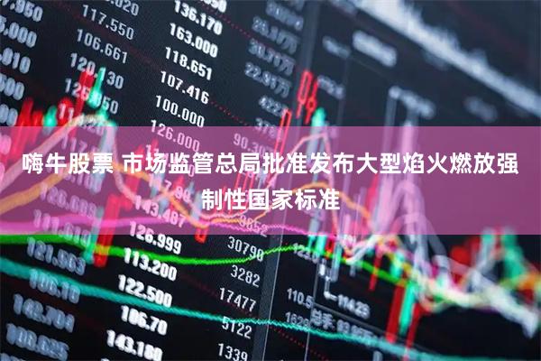 嗨牛股票 市场监管总局批准发布大型焰火燃放强制性国家标准